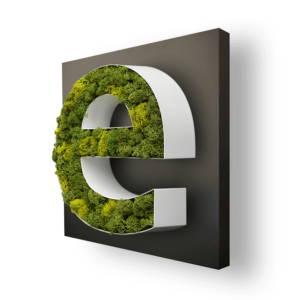 PR-13-FACE-MOUSSE-NORVEGE-CHANT-ALU-ACIER