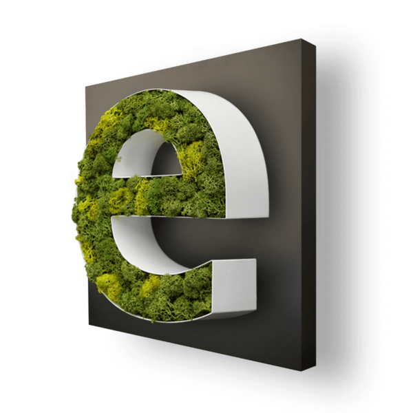 PR-13-FACE-MOUSSE-NORVEGE-CHANT-ALU-ACIER